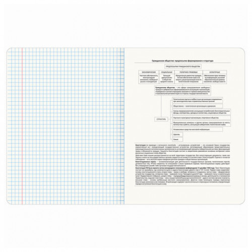 Тетрадь предметная STARLIGHT 48 л., глянцевый УФ-лак, ОБЩЕСТВОЗНАНИЕ, клетка, BRAUBERG, 404521