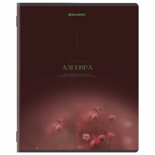 Тетради предметные, КОМПЛЕКТ 13 ПРЕДМЕТОВ, 48 л., SoftTouch, BRAUBERG PEACEFUL, 405182