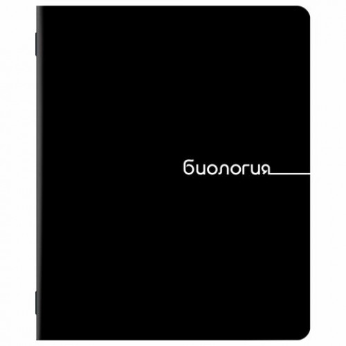 Тетради предметные, КОМПЛЕКТ 12 ПРЕДМЕТОВ, 48 л., обложка картон, BRAUBERG BLACK, 405164