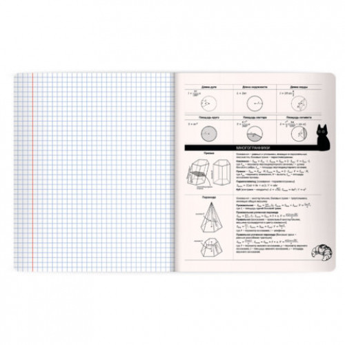 Тетрадь предметная КОТ-НЕПОСЕДА 48л, пластиковая обложка, ГЕОМЕТРИЯ, клетка, подсказ, BRAUBERG, 405532