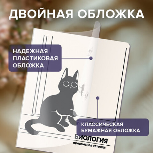 Тетради предметные, КОМПЛЕКТ 12 ПРЕДМЕТОВ 48 л., пластиковая обложка, BRAUBERG КОТ-НЕПОСЕДА, 405542