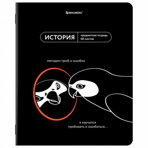 Тетради предметные, КОМПЛЕКТ 12 ПРЕДМЕТОВ, 48 л., TWIN лак, BRAUBERG МЕМЫ, 405172