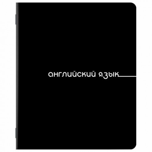 Тетради предметные, КОМПЛЕКТ 12 ПРЕДМЕТОВ, 48 л., обложка картон, BRAUBERG BLACK, 405164