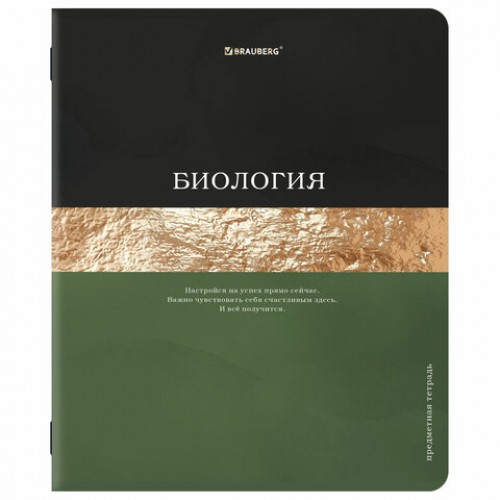 Тетради предметные, КОМПЛЕКТ 12 ПРЕДМЕТОВ, 48 л., матовая ламинация, фольга, BRAUBERG GOLDY, 405178