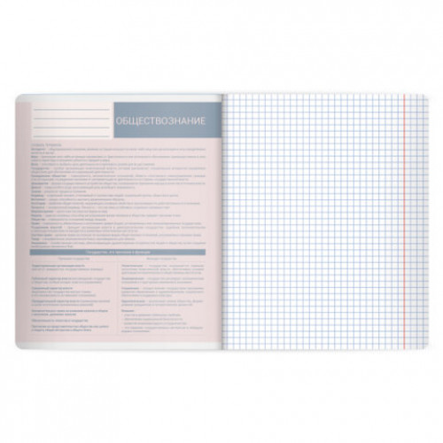 Тетрадь предметная MonoPastel 48л, пластиковая обложка, ОБЩЕСТВОЗНАНИЕ, клетка, подсказ, BRAUBERG, 405502