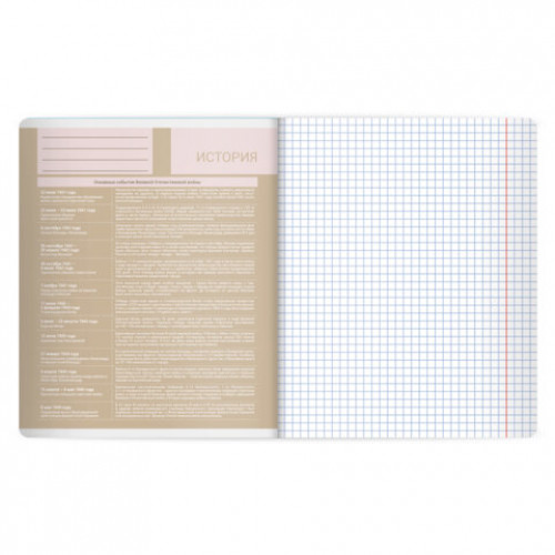 Тетрадь предметная MonoPastel 48л, пластиковая обложка, ИСТОРИЯ, клетка, подсказ, BRAUBERG, 405508