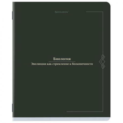 Тетради предметные, КОМПЛЕКТ 12 ПРЕДМЕТОВ, 48 л., SoftTouch, BRAUBERG VINTAGE, 405183