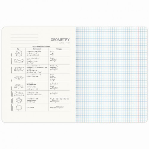 Тетрадь предметная МЕМЫ 48 л., TWIN-лак, ГЕОМЕТРИЯ, клетка, подсказ, BRAUBERG, 405101
