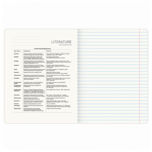 Тетрадь предметная ANIME 48 л., глянцевый УФ-лак, ЛИТЕРАТУРА, линия, BRAUBERG, 404540