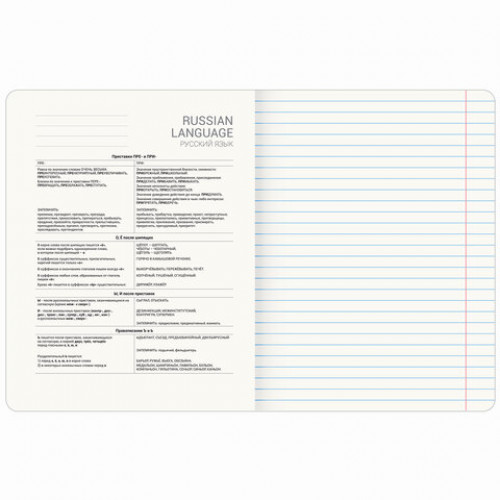 Тетрадь предметная МЕМЫ 48 л., TWIN-лак, РУССКИЙ ЯЗЫК, линия, подсказ, BRAUBERG, 405105