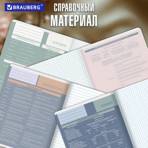 Тетради предметные, КОМПЛЕКТ 12 ПРЕДМЕТОВ 48 л., пластиковая обложка, BRAUBERG MonoPastel, 405540