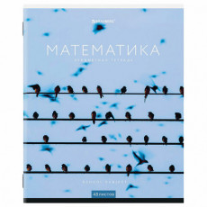 Тетрадь предметная КЛАССИКА NEW 48 л., обложка картон, МАТЕМАТИКА, клетка, BRAUBERG, 404248 Тетрадь предметная КЛАССИКА NEW 48 л., обложка картон, МАТЕМАТИКА, клетка, BRAUBERG, 404248