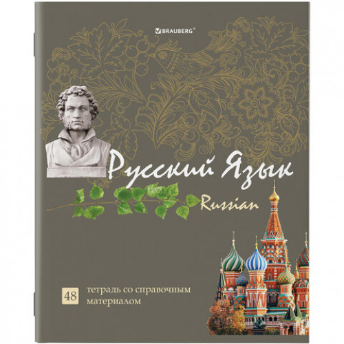 Тетради предметные, КОМПЛЕКТ 10 ПРЕДМЕТОВ, STATUS, 48 листов, глянцевый УФ-лак, BRAUBERG, 404027