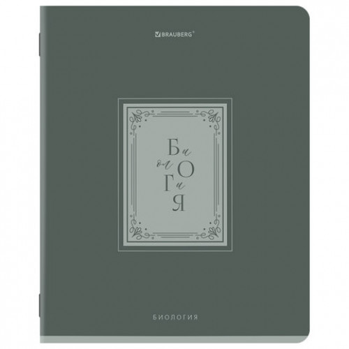 Тетради предметные, КОМПЛЕКТ 12 ПРЕДМЕТОВ, 48л, рельефный картон, BRAUBERG, ВИНТАЖ, 405603