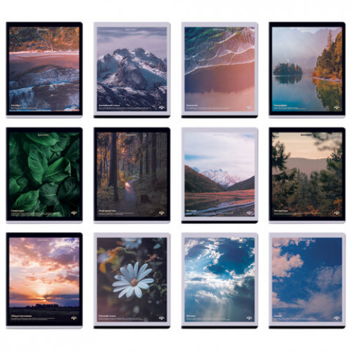 Тетради предметные, КОМПЛЕКТ 12 ПРЕДМЕТОВ, 48 л., матовая ламинация, BRAUBERG, ПРИРОДА, 405606