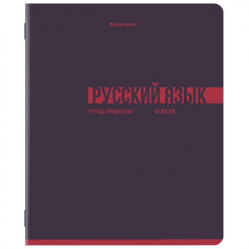 Тетради предметные, КОМПЛЕКТ 12 ПРЕДМЕТОВ, 48 л., обложка картон, BRAUBERG VIBE, 405163