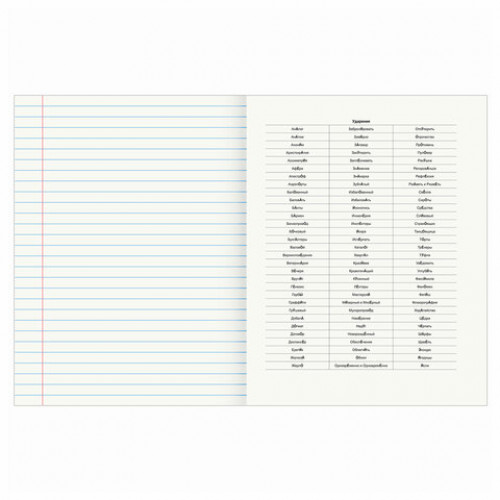 Тетрадь предметная DELIGHT 48 л., обложка картон, РУССКИЙ ЯЗЫК, линия, BRAUBERG, 404577