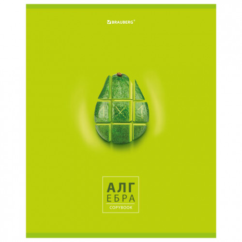 Тетрадь предметная со справочным материалом AVOCADO 48 л., глянцевый лак, АЛГЕБРА, клетка, BRAUBERG, 404273