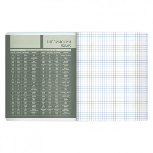 Тетрадь предметная MonoPastel 48л, пластиковая обложка, АНГЛИЙСКИЙ ЯЗЫК, клетка, подсказ, BRAUBERG, 405503