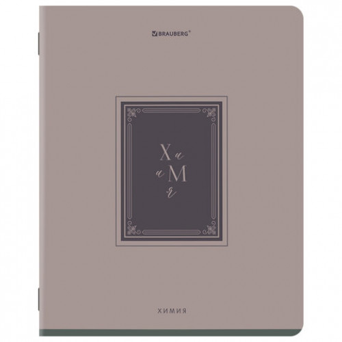 Тетради предметные, КОМПЛЕКТ 12 ПРЕДМЕТОВ, 48л, рельефный картон, BRAUBERG, ВИНТАЖ, 405603