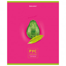 Тетрадь предметная AVOCADO 48 л., глянцевый лак, РУССКИЙ ЯЗЫК, линия, подсказ, BRAUBERG, 404282 Тетрадь предметная AVOCADO 48 л., глянцевый лак, РУССКИЙ ЯЗЫК, линия, подсказ, BRAUBERG, 404282