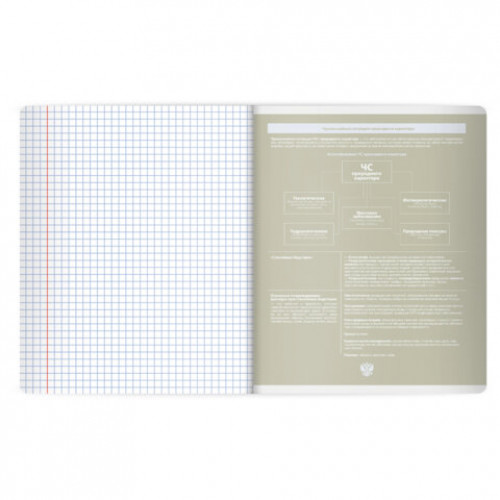 Тетрадь предметная MonoPastel 48л, пластиковая обложка, ОБЗР, клетка, подсказ, BRAUBERG, 405513