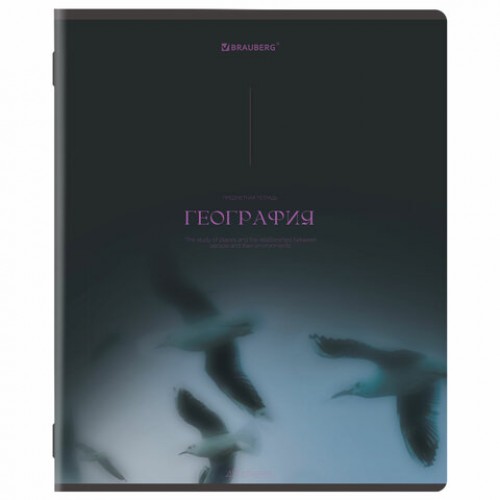 Тетради предметные, КОМПЛЕКТ 13 ПРЕДМЕТОВ, 48 л., SoftTouch, BRAUBERG PEACEFUL, 405182