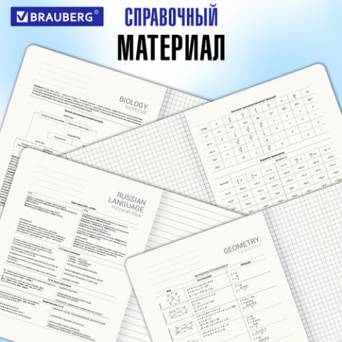 Тетради предметные, КОМПЛЕКТ 12 ПРЕДМЕТОВ, 48 л., SoftTouch, BRAUBERG РИТМ, 405181