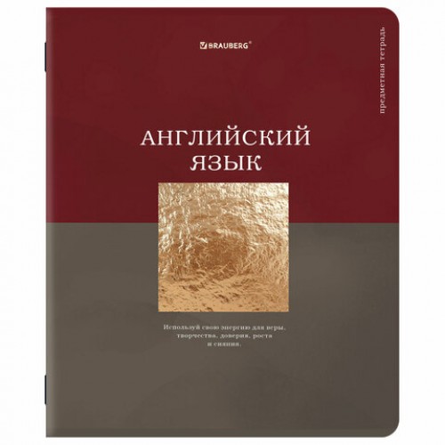 Тетради предметные, КОМПЛЕКТ 12 ПРЕДМЕТОВ, 48 л., матовая ламинация, фольга, BRAUBERG GOLDY, 405178
