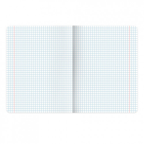 Тетрадь предметная STARLIGHT 48 л., глянцевый УФ-лак, ОБЩЕСТВОЗНАНИЕ, клетка, BRAUBERG, 404521