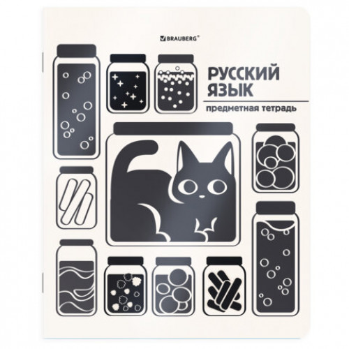 Тетради предметные, КОМПЛЕКТ 12 ПРЕДМЕТОВ 48 л., пластиковая обложка, BRAUBERG КОТ-НЕПОСЕДА, 405542