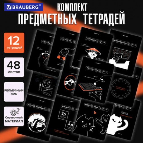 Тетради предметные, КОМПЛЕКТ 12 ПРЕДМЕТОВ, 48 л., TWIN лак, BRAUBERG МЕМЫ, 405172