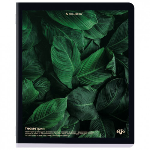 Тетради предметные, КОМПЛЕКТ 12 ПРЕДМЕТОВ, 48 л., матовая ламинация, BRAUBERG, ПРИРОДА, 405606