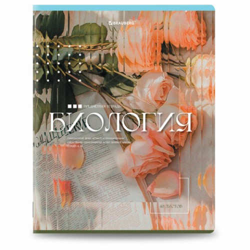 Тетради предметные, КОМПЛЕКТ 12 ПРЕДМЕТОВ, 48 л., глянцевый УФ-лак, BRAUBERG ILLUSION, 405171