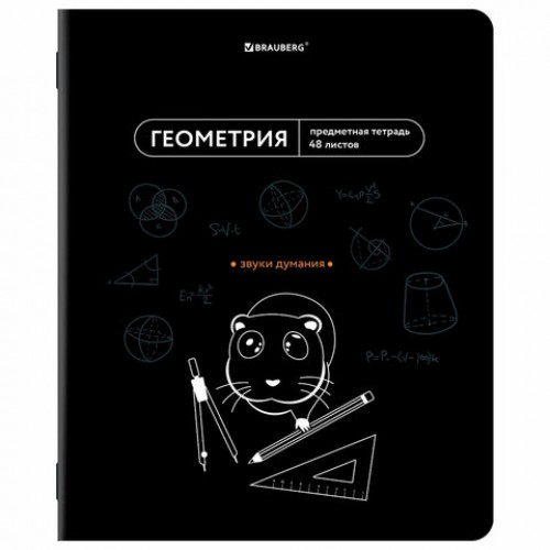 Тетради предметные, КОМПЛЕКТ 12 ПРЕДМЕТОВ, 48 л., TWIN лак, BRAUBERG МЕМЫ, 405172