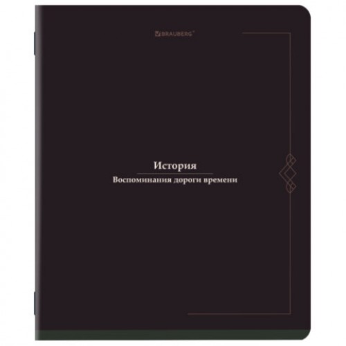 Тетради предметные, КОМПЛЕКТ 12 ПРЕДМЕТОВ, 48 л., SoftTouch, BRAUBERG VINTAGE, 405183