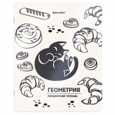 Тетрадь предметная КОТ-НЕПОСЕДА 48л, пластиковая обложка, ГЕОМЕТРИЯ, клетка, подсказ, BRAUBERG, 405532