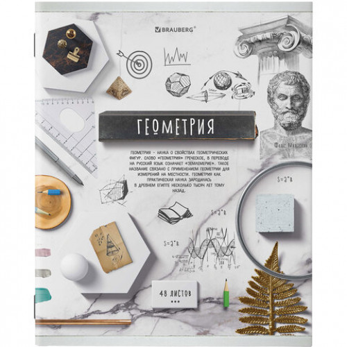 Тетради предметные, КОМПЛЕКТ 10 ПРЕДМЕТОВ, COLLAGE, 48 листов, TWIN лак, BRAUBERG, 404030