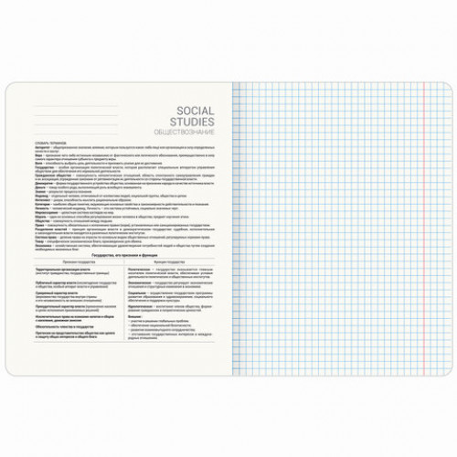 Тетрадь предметная ДАТЫ 48 л., TWIN-лак, ОБЩЕСТВОЗНАНИЕ, клетка, подсказ, BRAUBERG, 405123