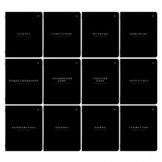 Тетради предметные, КОМПЛЕКТ 12 ПРЕДМЕТОВ 48 л., пластиковая обложка, BRAUBERG BLACK MODE, 405541