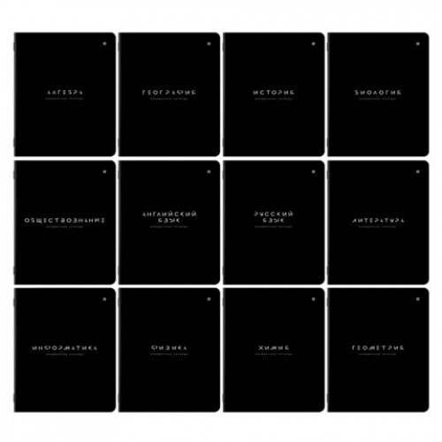Тетради предметные, КОМПЛЕКТ 12 ПРЕДМЕТОВ 48 л., пластиковая обложка, BRAUBERG BLACK MODE, 405541