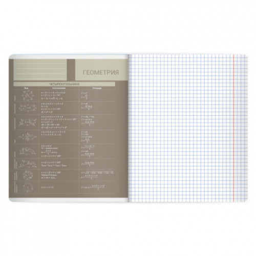 Тетрадь предметная MonoPastel 48л, пластиковая обложка, ГЕОМЕТРИЯ, клетка, подсказ, BRAUBERG, 405506