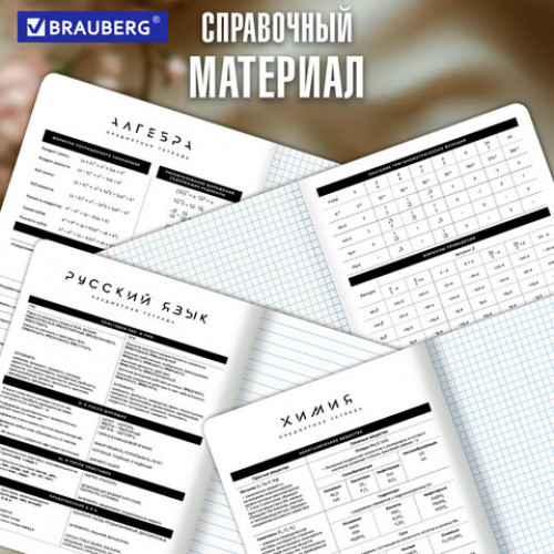 Тетради предметные, КОМПЛЕКТ 12 ПРЕДМЕТОВ 48 л., пластиковая обложка, BRAUBERG BLACK MODE, 405541