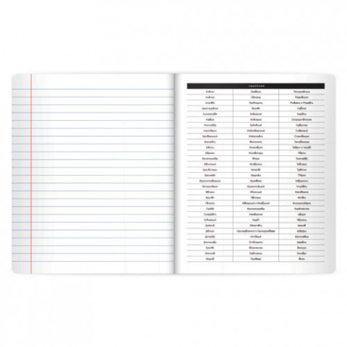 Тетрадь предметная BLACK MODE 48л, пластиковая обложка, РУССКИЙ ЯЗЫК, линия, подсказ, BRAUBERG, 405523