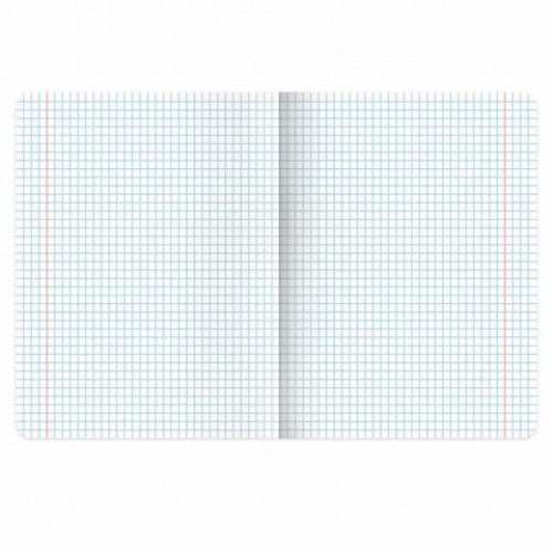 Тетради предметные, КОМПЛЕКТ 12 ПРЕДМЕТОВ, 48 л., глянцевый УФ-лак, BRAUBERG ILLUSION, 405171