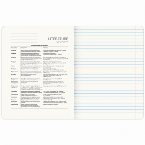 Тетрадь предметная МЕМЫ 48 л., TWIN-лак, ЛИТЕРАТУРА, линия, подсказ, BRAUBERG, 405104