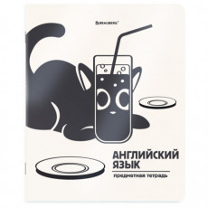 Тетрадь предметная КОТ-НЕПОСЕДА 48л, пластиковая обложка, АНГЛИЙСКИЙ ЯЗЫК, клетка, подсказ, BRAUBERG, 405529