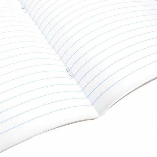 Тетрадь предметная STARLIGHT 48 л., глянцевый УФ-лак, РУССКИЙ ЯЗЫК, линия, BRAUBERG, 404529