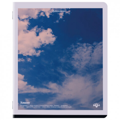 Тетради предметные, КОМПЛЕКТ 12 ПРЕДМЕТОВ, 48 л., матовая ламинация, BRAUBERG, ПРИРОДА, 405606