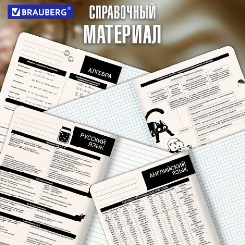 Тетради предметные, КОМПЛЕКТ 12 ПРЕДМЕТОВ 48 л., пластиковая обложка, BRAUBERG КОТ-НЕПОСЕДА, 405542